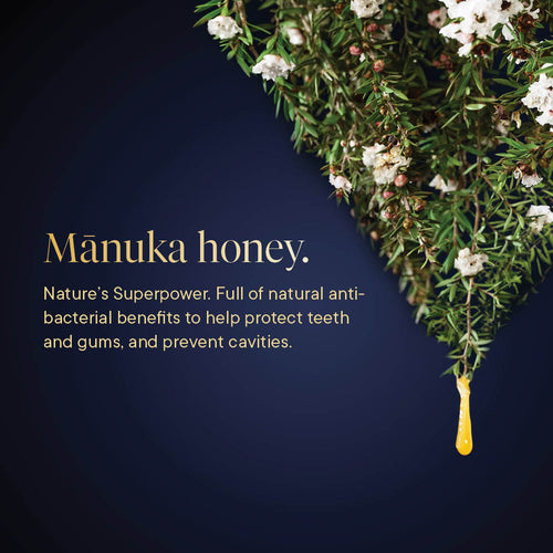 Manuka Honey & Propolis Toothpaste NZ
