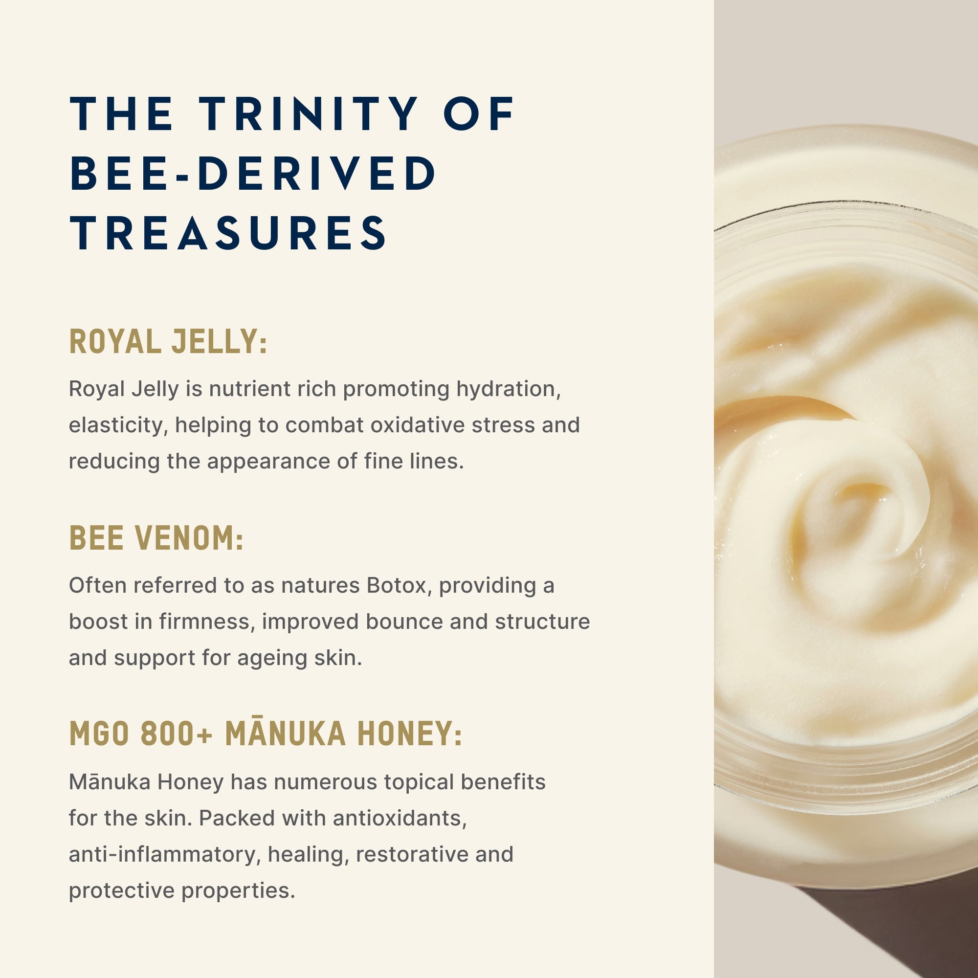 Eternal Renewal Face Cream | Royal Jelly, Manuka Honey, Bee Venom