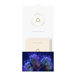 Eternal Renewal Skincare 3ml Sachet Pack